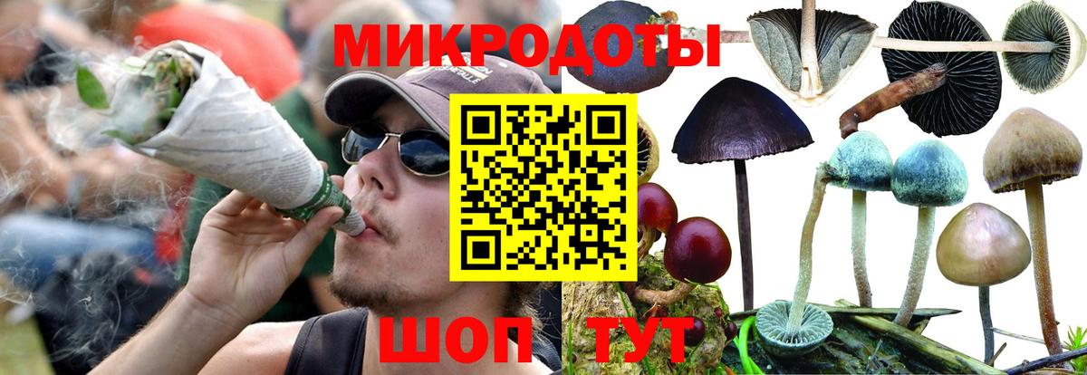 Псилоцибиновые грибы Psilocybe  Вход с VPN  Зеленокумск 